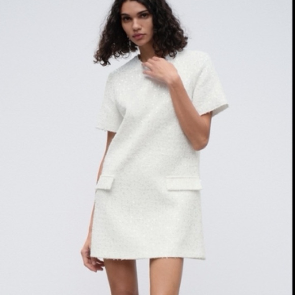 Zara White & Silver Sequin Tweed Short Sleeve Mini Dress - Size XS
